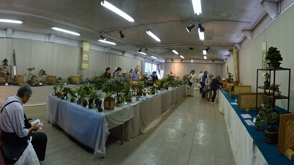 b0052108_14235959.jpg