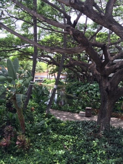 c0180009_13514578.jpg