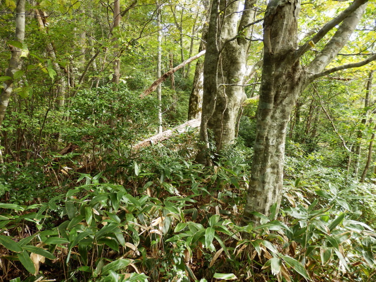 f0219710_07175024.jpg