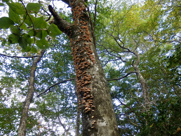 f0219710_07203218.jpg