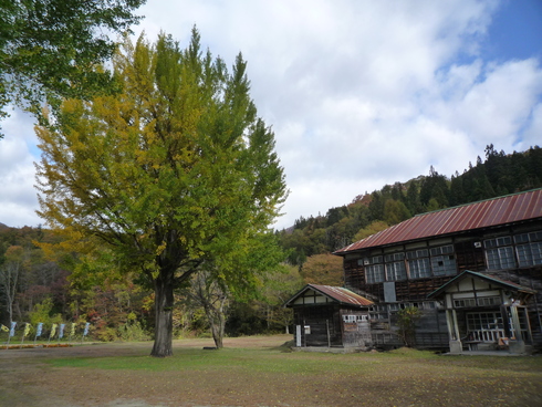 今年の新そば_c0189218_16462959.jpg