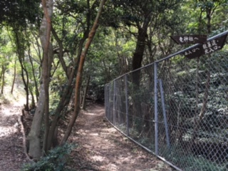 ワークショップ「ぺたぺた歩いて☆色の散歩道」_b0215321_12253635.jpg
