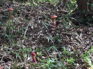 ワークショップ「ぺたぺた歩いて☆色の散歩道」_b0215321_12281037.jpg