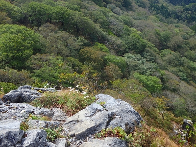f0193521_7384053.jpg
