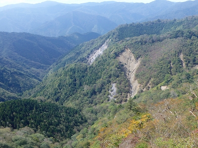f0193521_741185.jpg