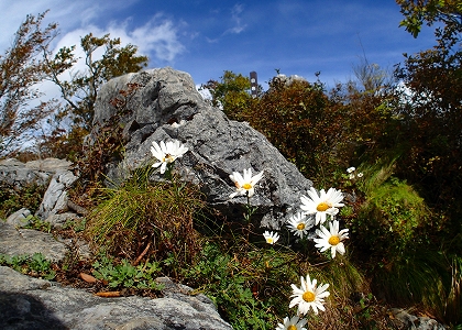 f0193521_85196.jpg