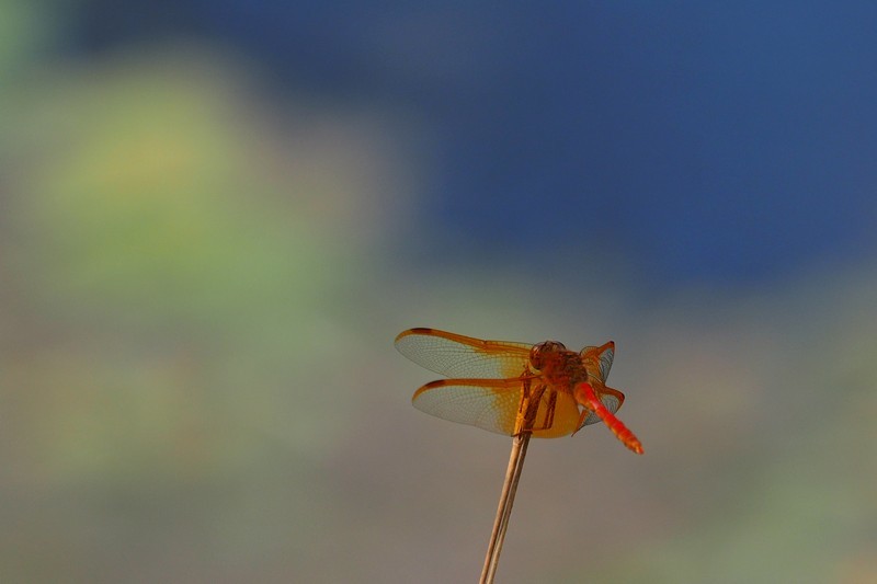 c0369423_22064525.jpg