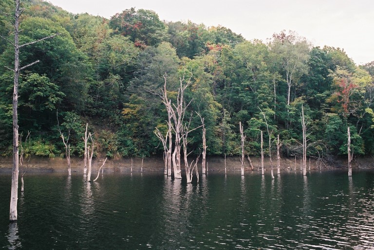 f0362725_13490457.jpg