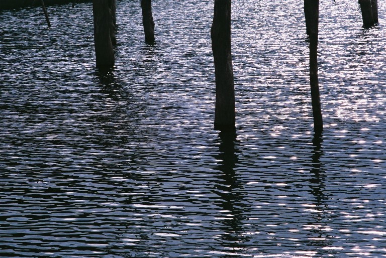 f0362725_13505119.jpg