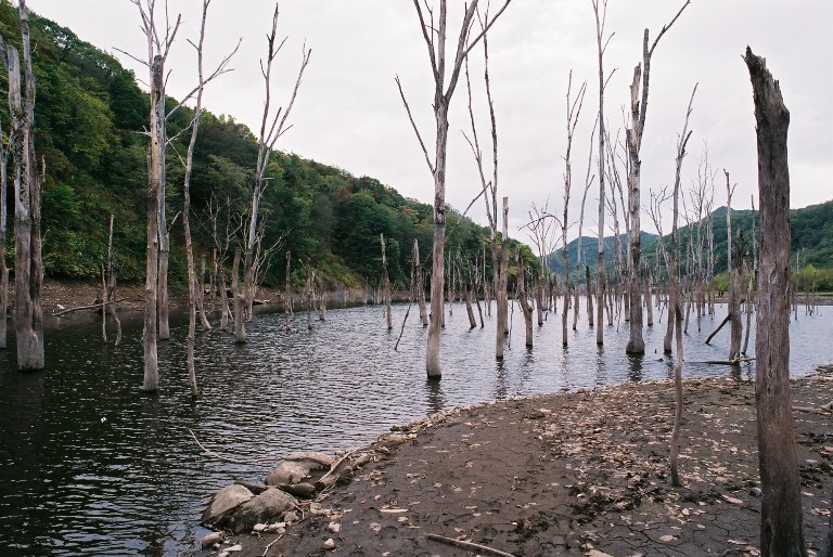 f0362725_13524314.jpg