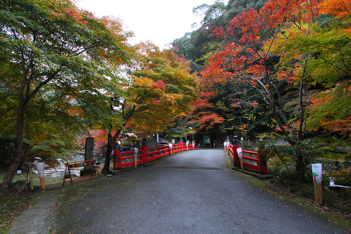 紅葉の高雄 －神護寺（前編）－_b0169330_23493671.jpg