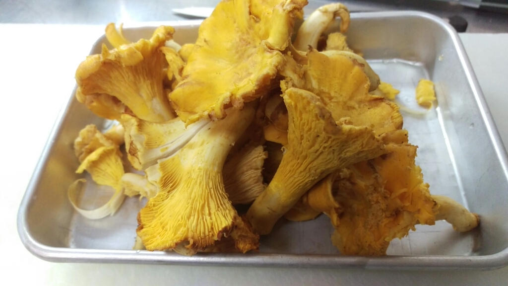 girolle_c0119937_08213961.jpg