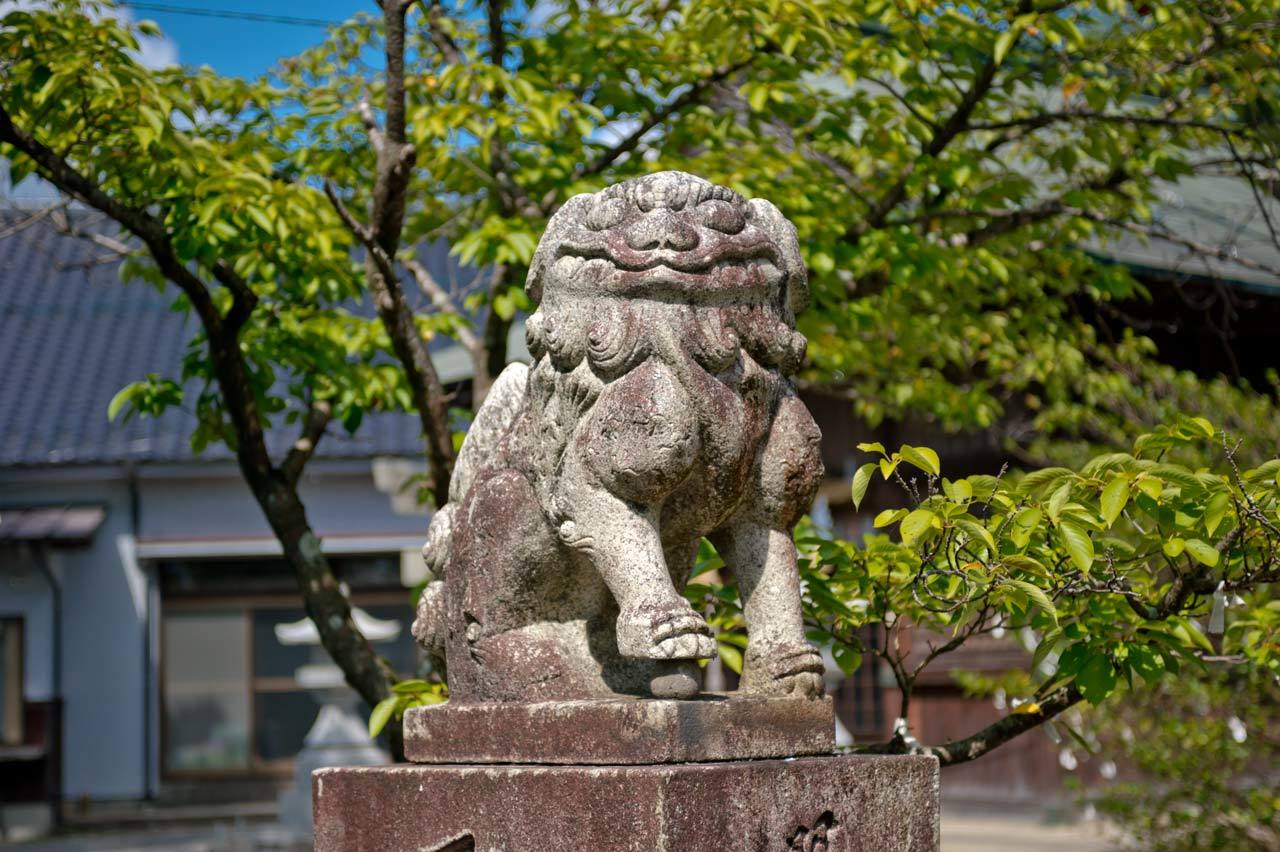 皇祖神社　福岡県飯塚市鯰田_b0023047_03535599.jpg