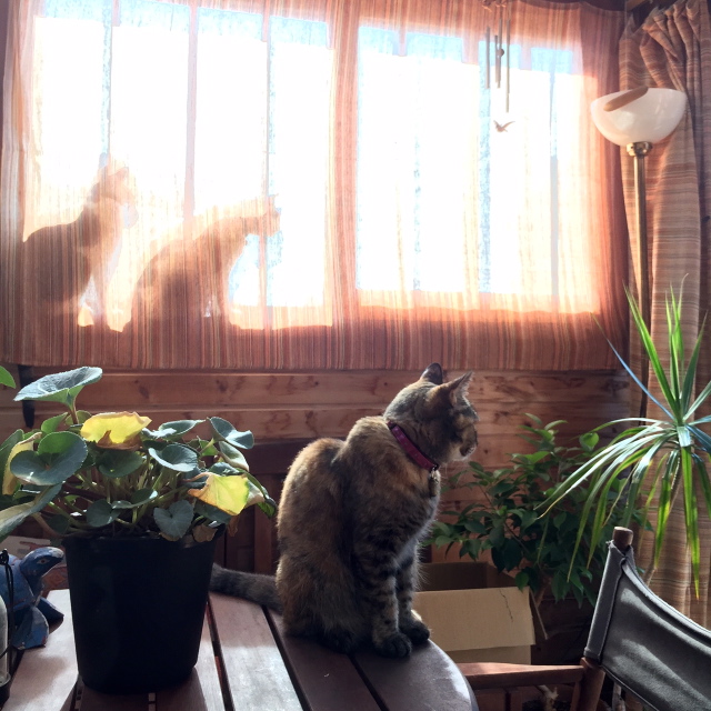 c0123363_1072579.jpg