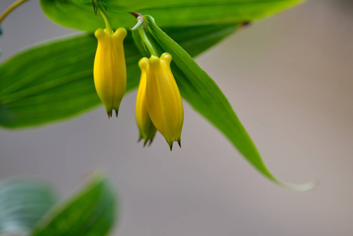 b0223668_791155.jpg