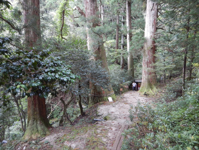 三徳山 続編 ♪_b0366871_14464769.jpg