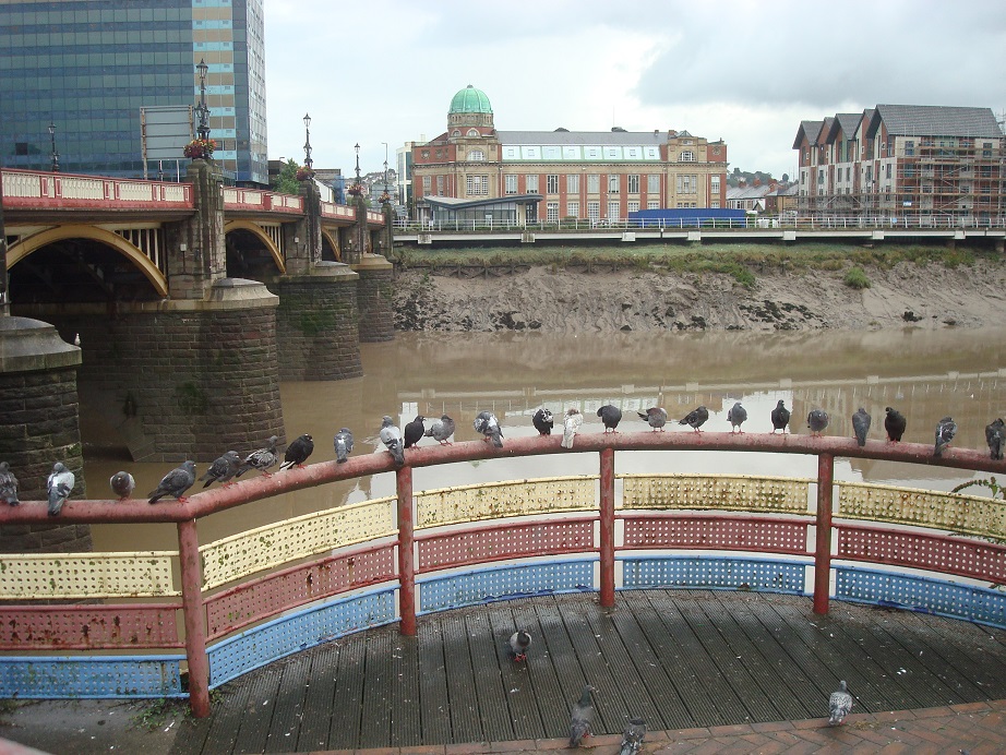 a0123372_14372.jpg