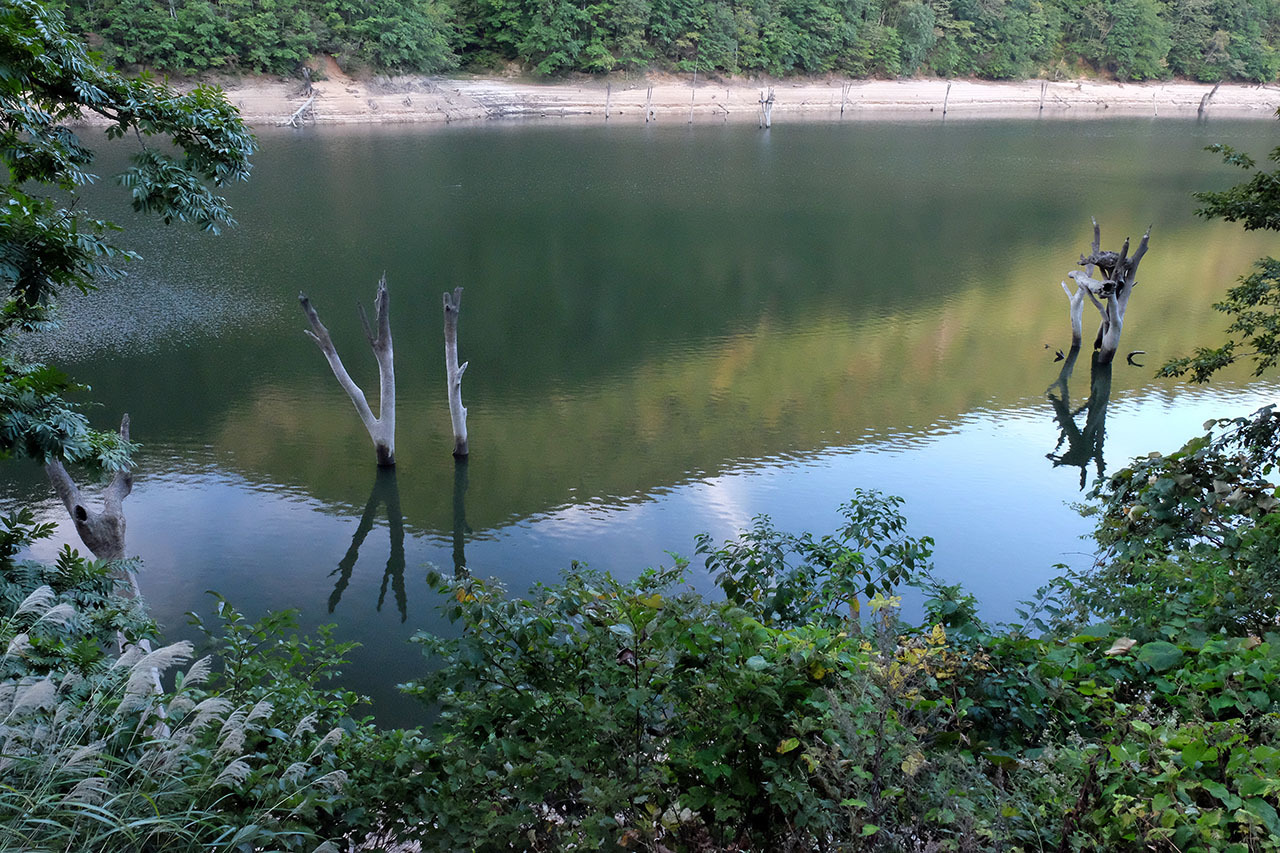 裏見の滝・照葉峡・胴元湖・白樺_e0096372_10072239.jpg