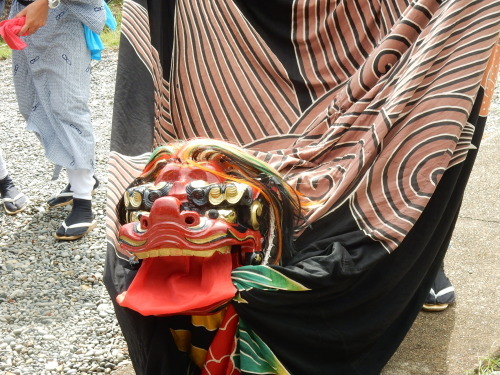 浦神の秋祭り 猫楠に鈴振りの舞_f0054677_08264613.jpg