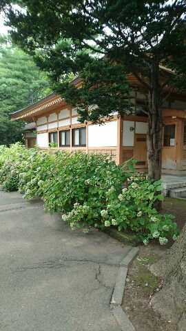 c0312878_14461408.jpg