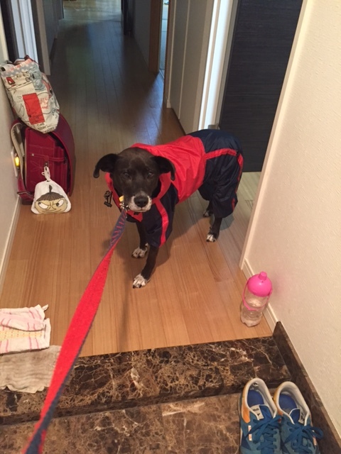 c0337990_23260919.jpeg