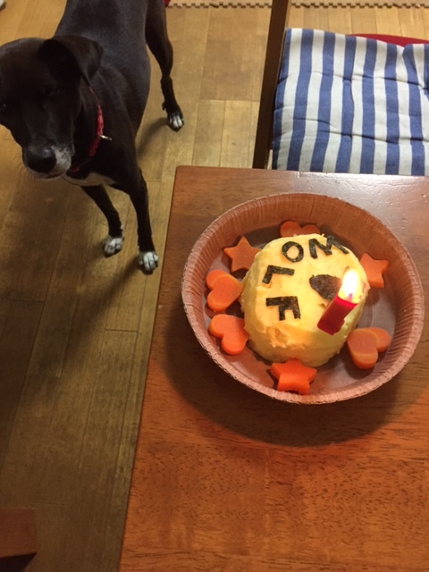 c0337990_23261962.jpeg