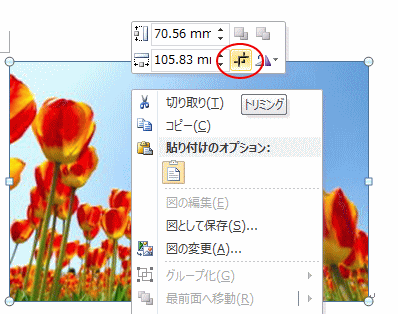 図形に合わせてトリミングした画像は保存できない 初心者のためのoffice講座 Supportingblog3