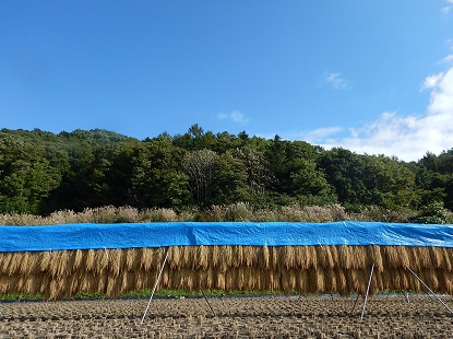 亀有公園前派出所_e0077899_12431254.jpg