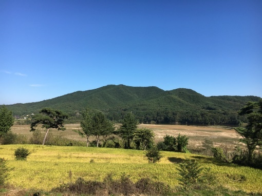 世界遺産の街 安東へ_a0100706_00374582.jpg
