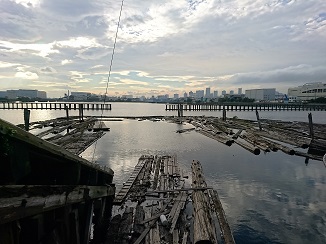 d0091909_859562.jpg