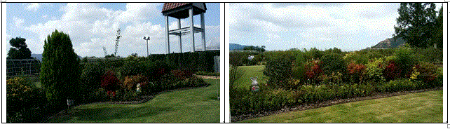 f0231709_14543969.gif