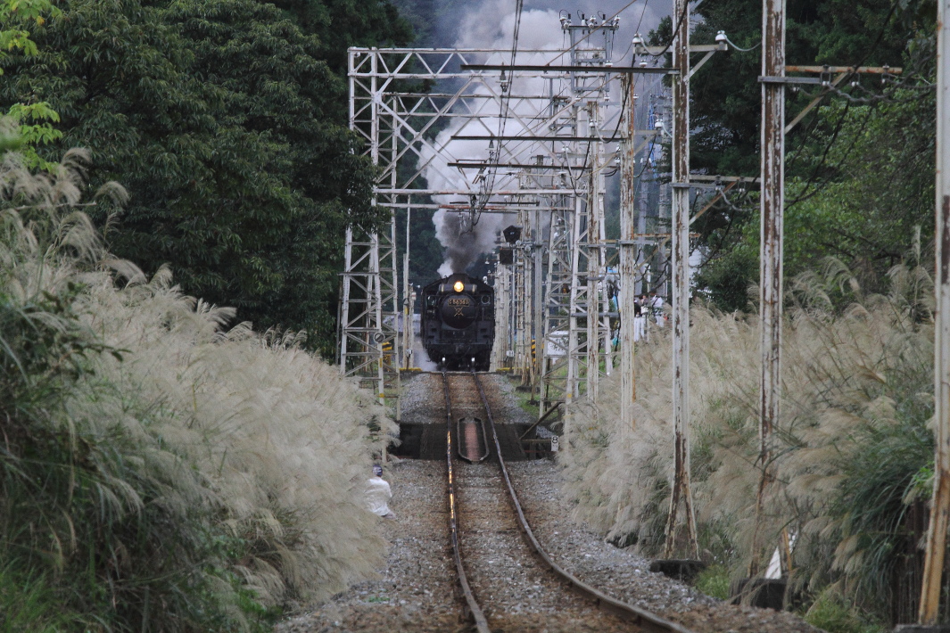 ススキの道 - 2016年初秋・秩父 - _b0190710_18583254.jpg