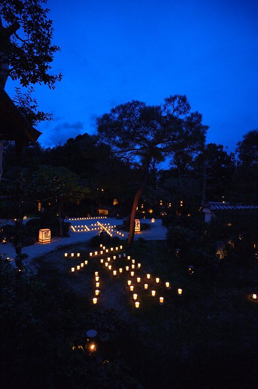 梵燈のあかりに親しむ会＠東林院_f0032011_1651067.jpg