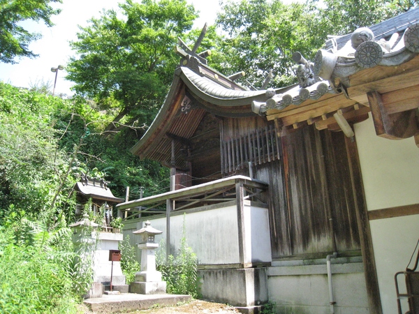 d0287413_1057371.jpg