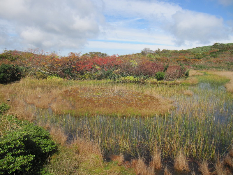 TOZANGO in 赤兎山_d0103314_21401399.jpg