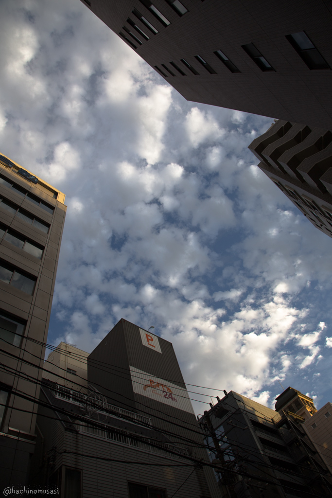 f0249918_22145410.jpg