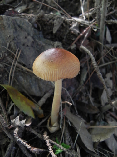 e0352220_19442804.jpg