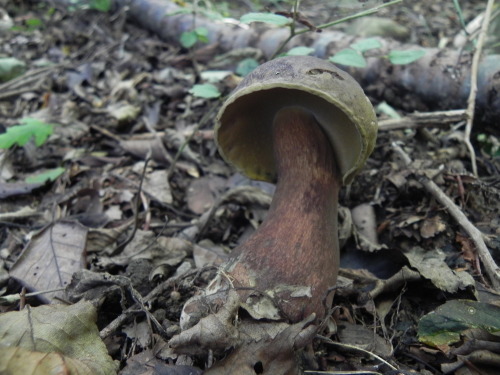 e0352220_20091569.jpg