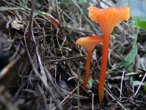 e0352220_20093401.jpg