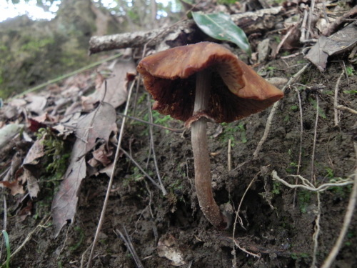 e0352220_20342571.jpg