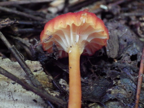 e0352220_20430030.jpg