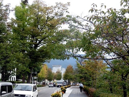 e0234924_08245258.jpg