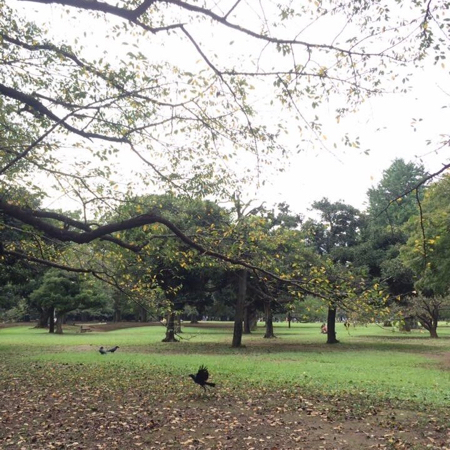 秋ラン❗️_a0231828_22195291.jpg