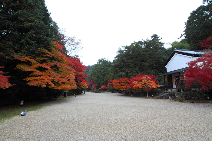 紅葉の高雄 －神護寺（前編）－_b0169330_22191757.jpg