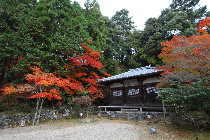 紅葉の高雄 －神護寺（前編）－_b0169330_22383955.jpg