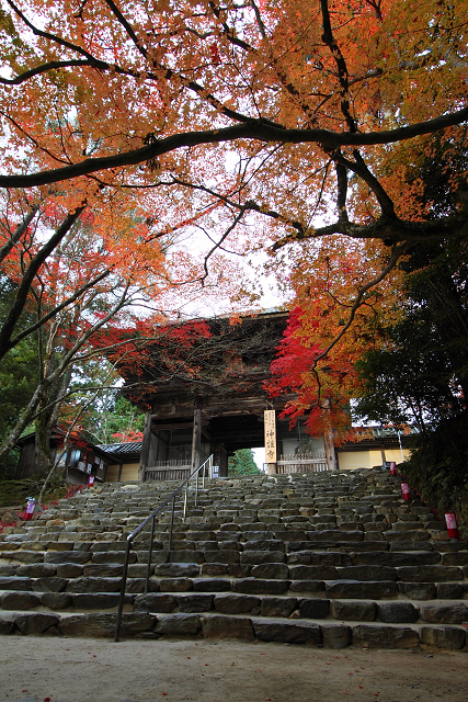 紅葉の高雄 －神護寺（前編）－_b0169330_8141752.jpg