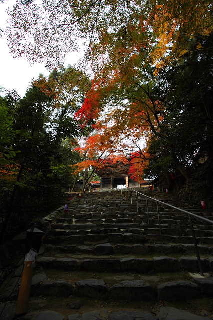 紅葉の高雄 －神護寺（前編）－_b0169330_8212713.jpg