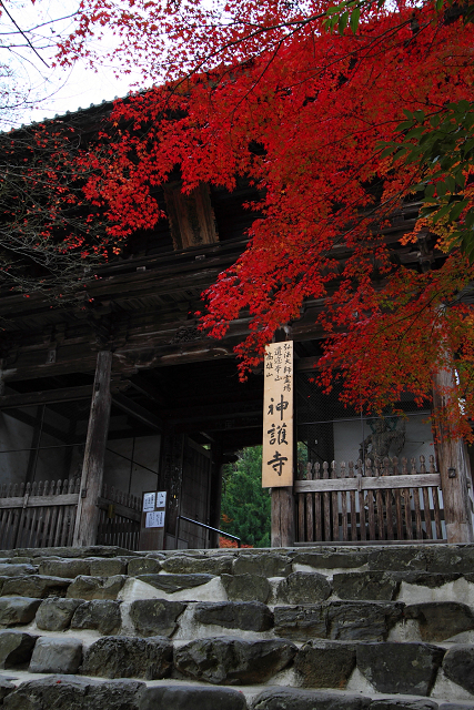 紅葉の高雄 －神護寺（前編）－_b0169330_82145100.jpg