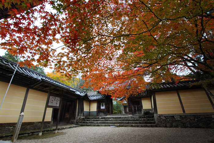 紅葉の高雄 －神護寺（前編）－_b0169330_8595620.jpg