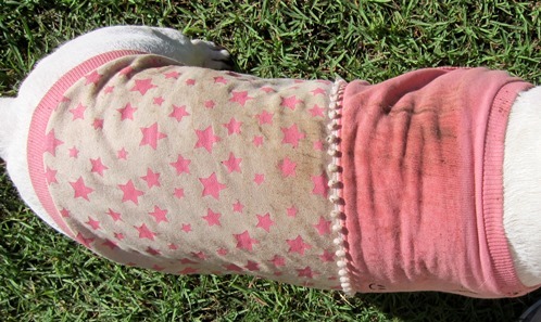 c0192330_11205681.jpg